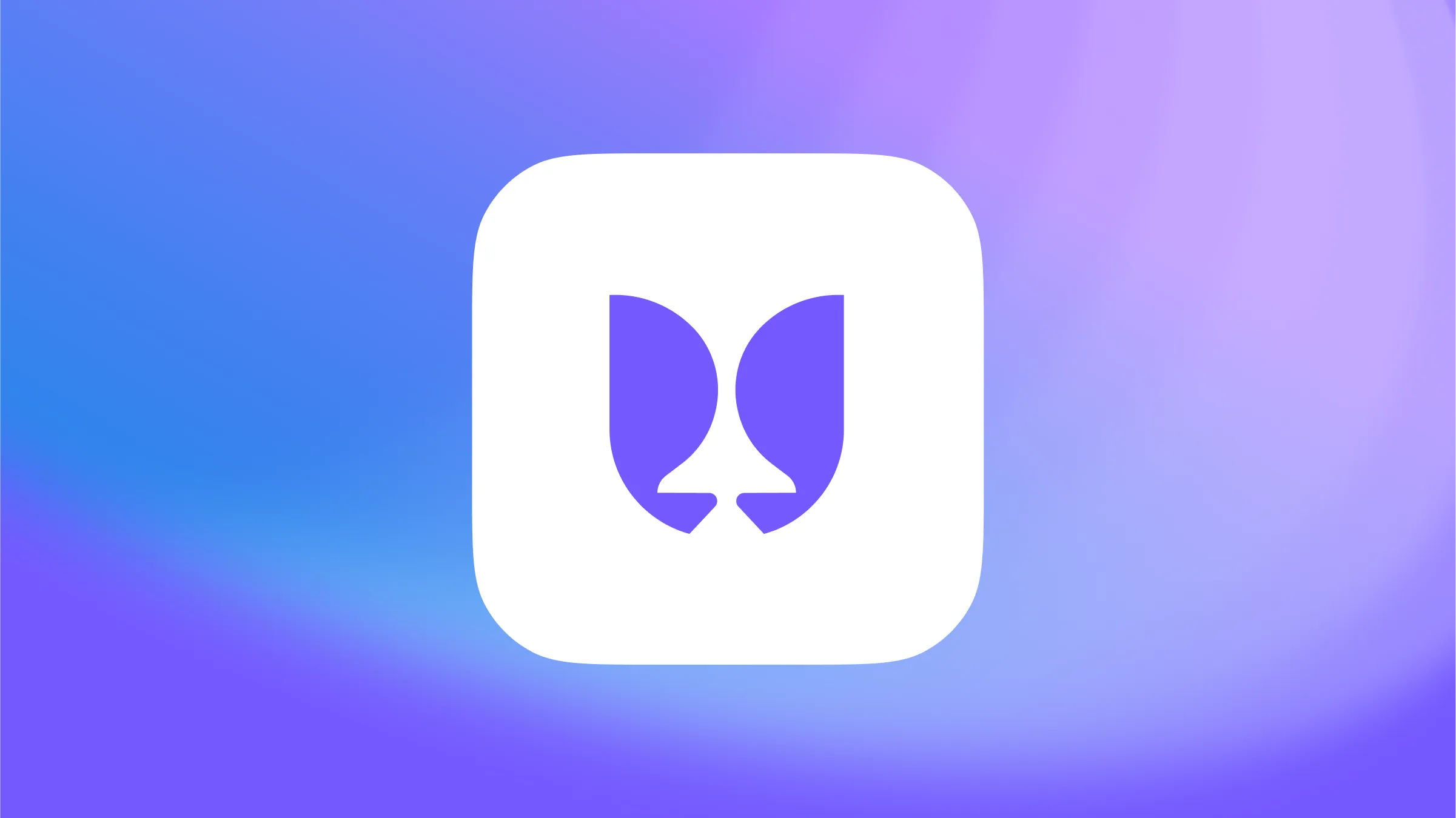 Flying Tulip capital allocation